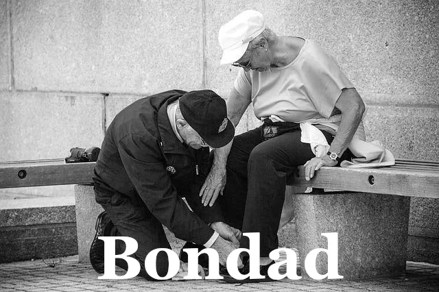 Enlaza con una página donde se describe la bondad de la gente de la isla de la Palma.