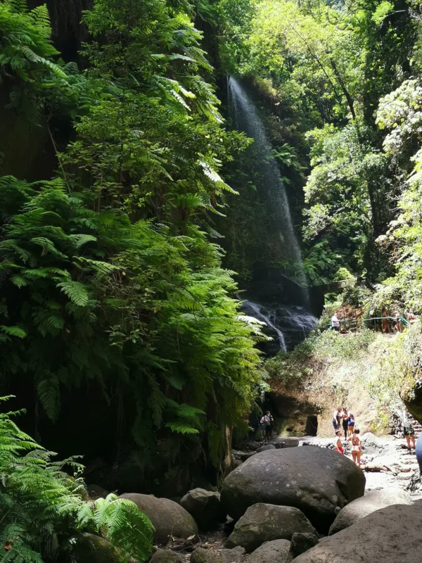 La Cascada de los Tilos muestra la parte más importante en cuanto a los bosques de la Palma.