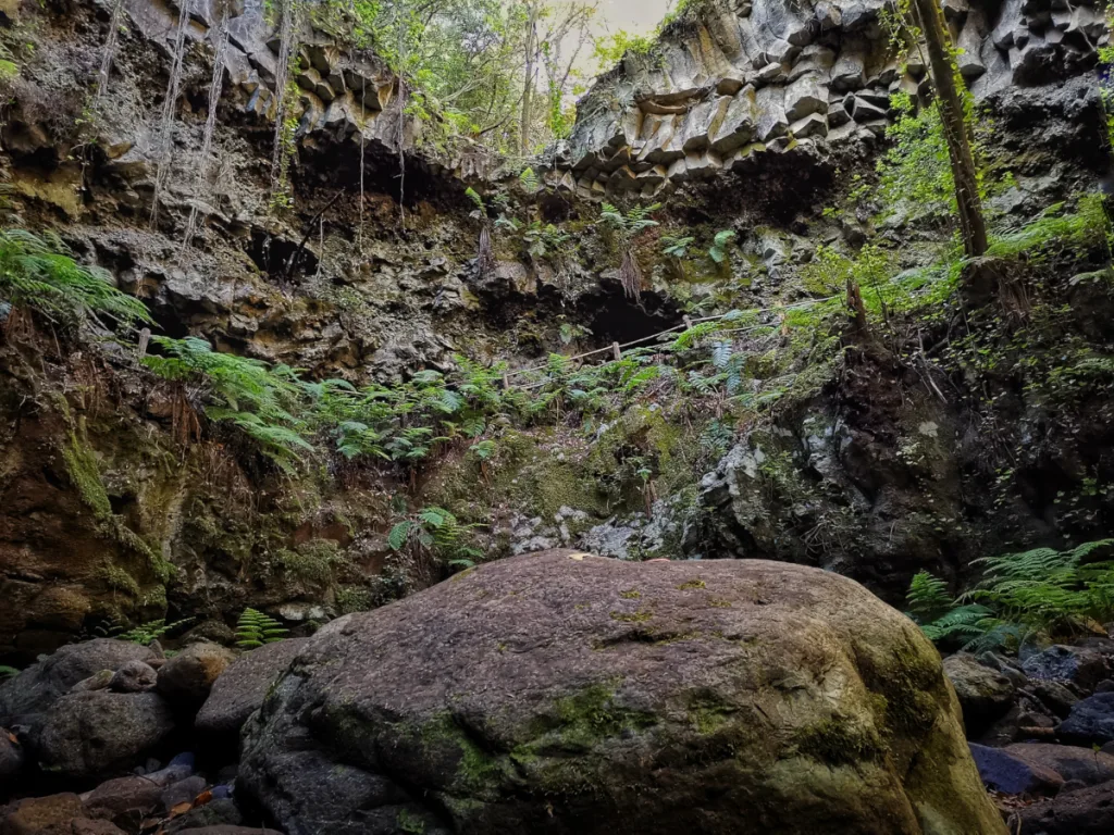 En esta imagen de la Zarza se puede ver buena parte de la naturaleza de la isla de la Palma.