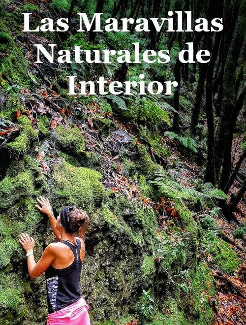 Se ve la naturaleza del interior de la Palma,