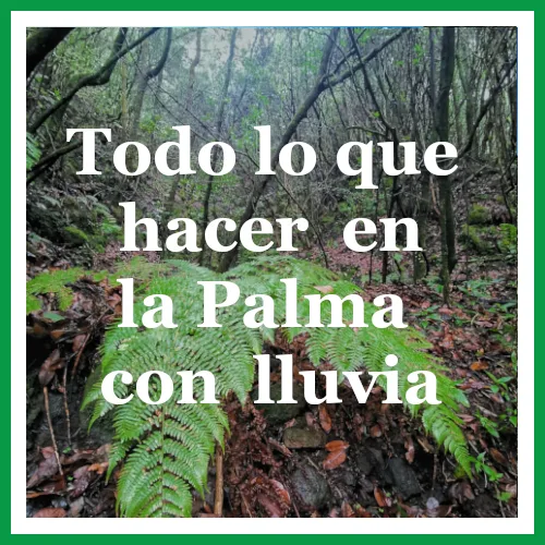 Muestra un sendero en la Palma si llueve.