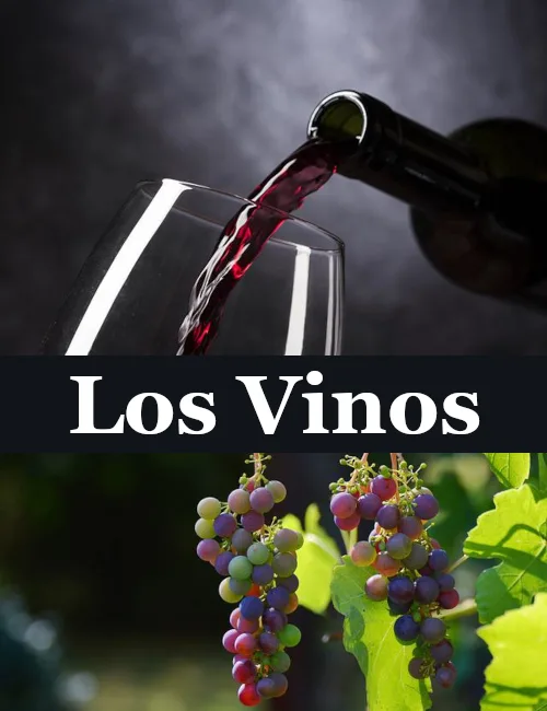 Enlaza con la página donde se habla de los vinos de la Palma.