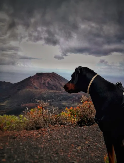 Muestra los volcanes más representativos de la naturaleza de la Palma.