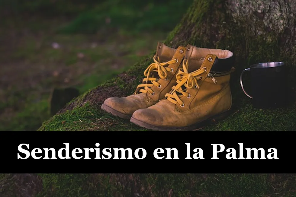 Enlaza con el apartado de senderismo en la Palma.