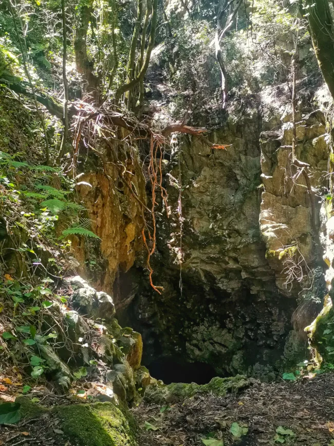 Cueva en la ruta del Roque Niquiomo. 