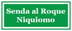 Enlazar con el contenido sobre el senderismo en el Roque Niquiomo.