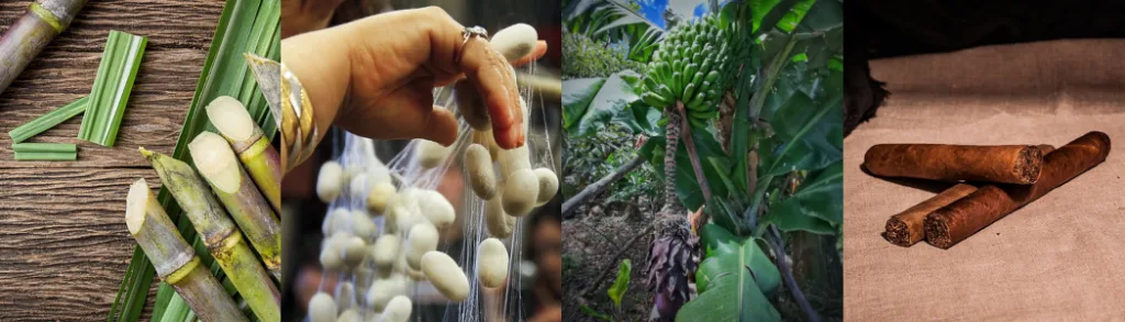 Las diferentes tradiciones de Canarias y la Palma.