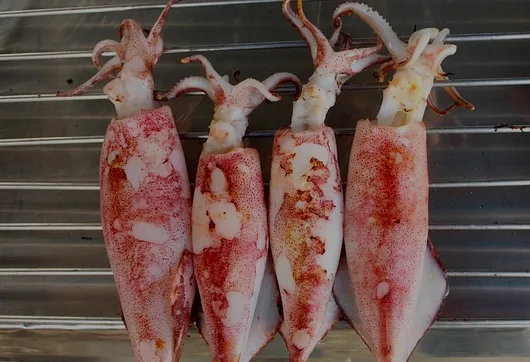 Chocos para la parrilla como un entrante típico de la Palma.