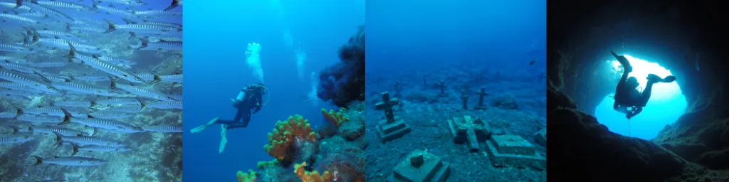 Aparecen cuatro puntos donde bucear en la Palma. Ilustra los diferentes tipos de inmersiones que hay en la Palma.