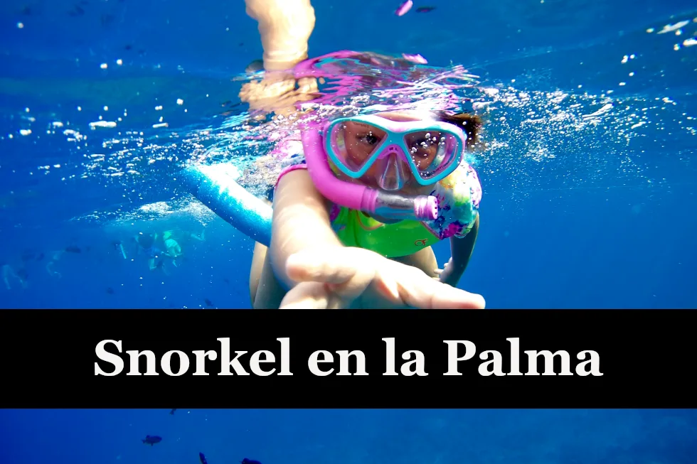Enlaza con las sección sobre snorkel en la Palma.