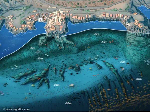 Muestra el mapa de buceo de la inmersión de la Bajita, en la Palma.