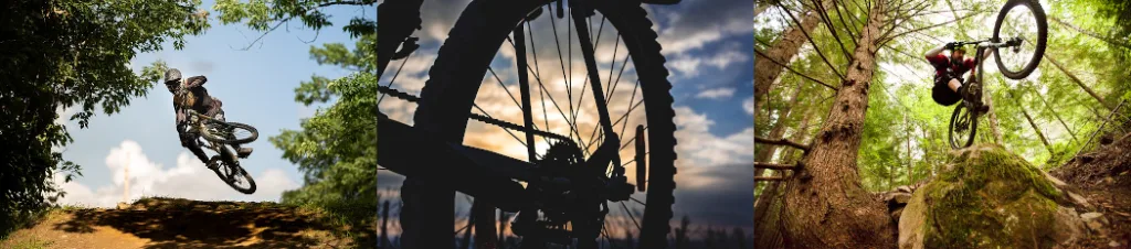 Muestra tres fotografías de rutas MTB en la isla de la Palma.