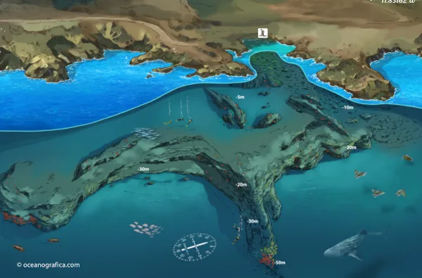 Muestra el mapa de buceo de la inmersión de las Cabras, en la Palma.